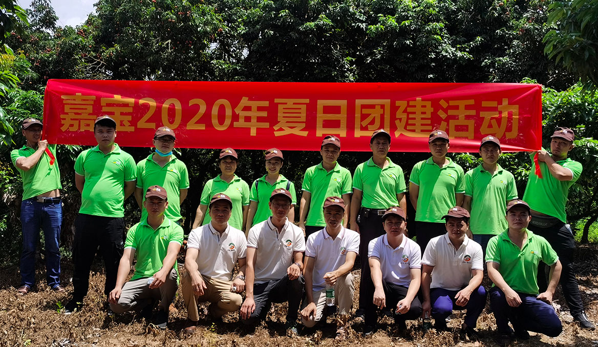 嘉宝2020年夏日团建活动