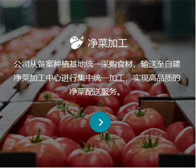 净菜加工